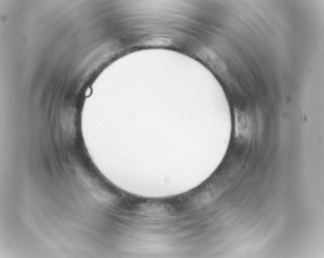 X0000088150300200705291429