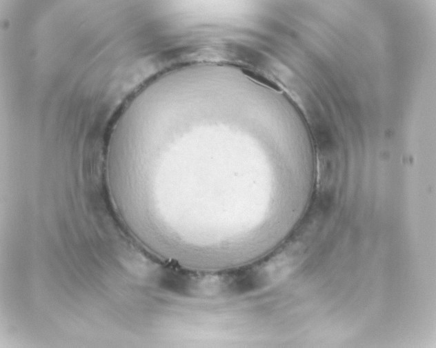 X0000088150301200705291429