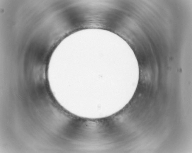 X0000088150302200705291429