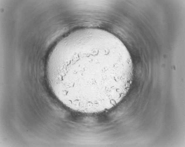 X0000088150303200705291429