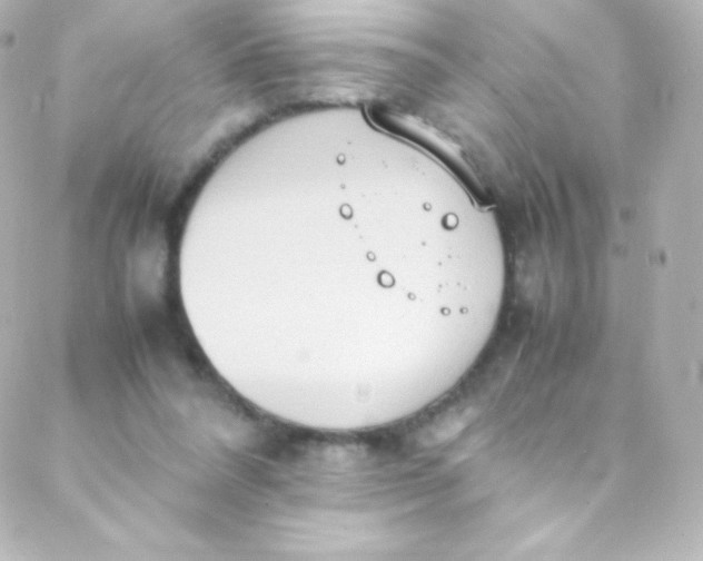 X0000088150304200705291429