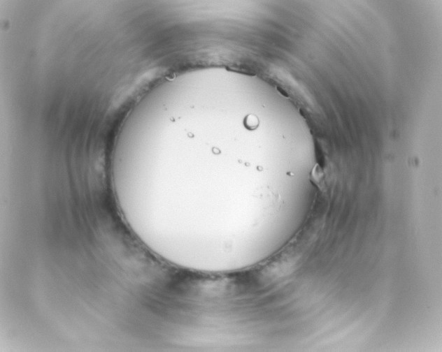 X0000088150306200705291429