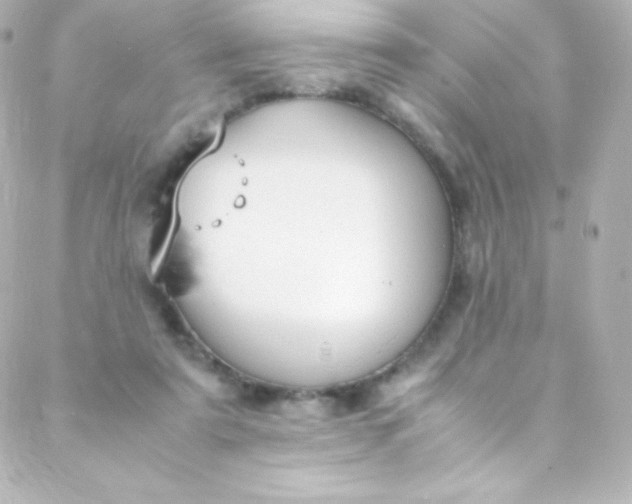 X0000088150307200705291429