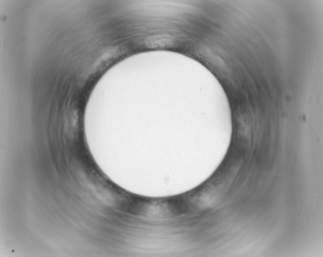 X0000088150308200705291429