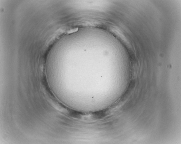 X0000088150309200705291429