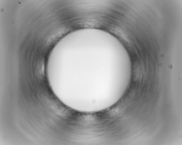 X0000088150310200705291429