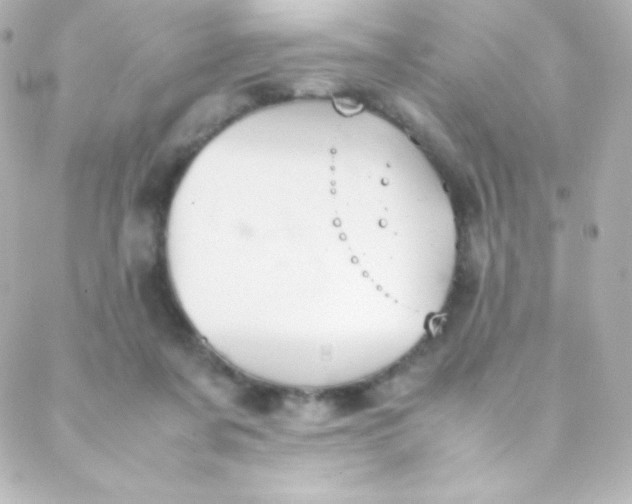 X0000088150311200705291429