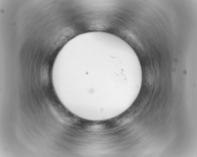 X0000088150312200705291429