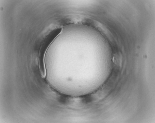 X0000088150313200705291429