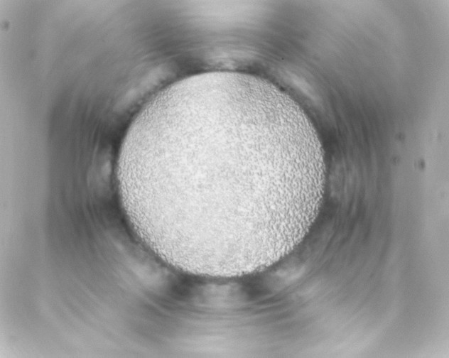 X0000088150314200705291429