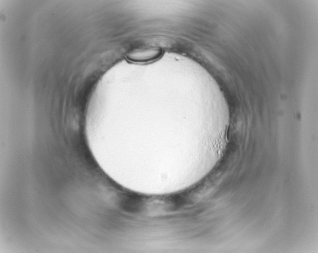 X0000088150315200705291429