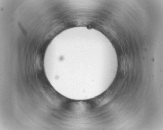 X0000088150316200705291429