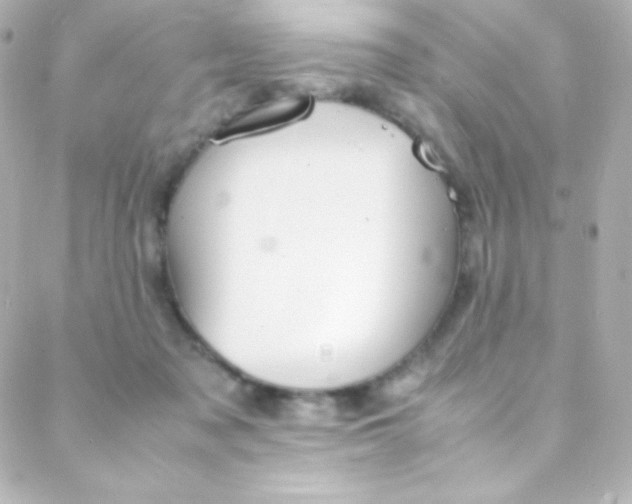 X0000088150317200705291429