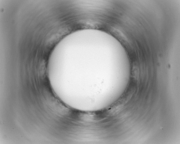 X0000088150318200705291429