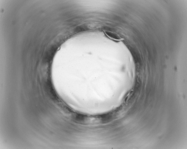 X0000088150319200705291429