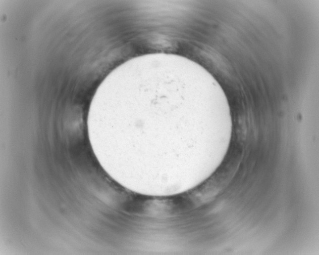 X0000088150320200705291429