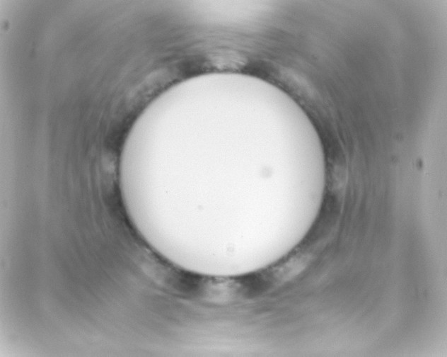 X0000088150321200705291429