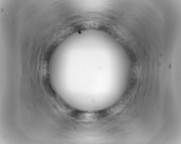 X0000088150323200705291429