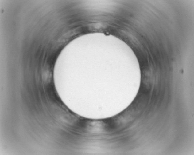 X0000088150324200705291429