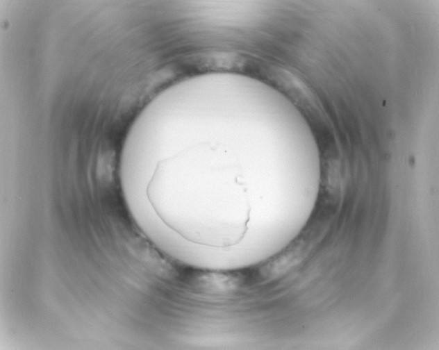 X0000088150326200705291429