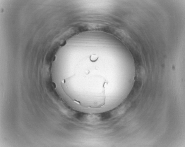 X0000088150327200705291429