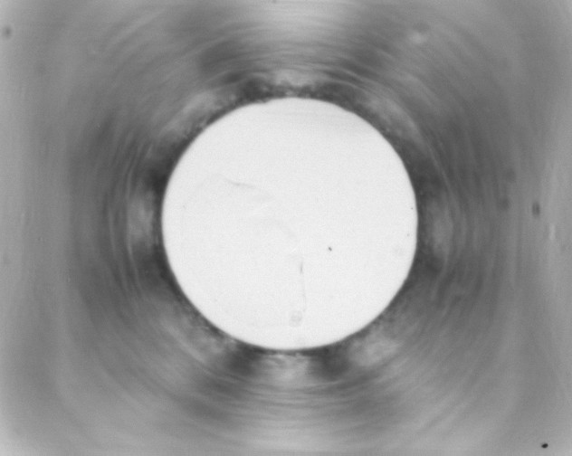 X0000088150328200705291429