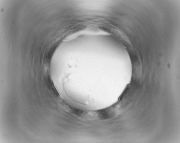 X0000088150329200705291429