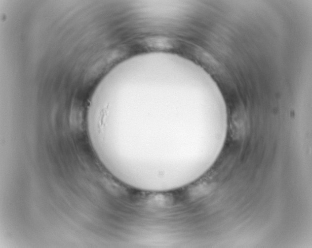 X0000088150330200705291429