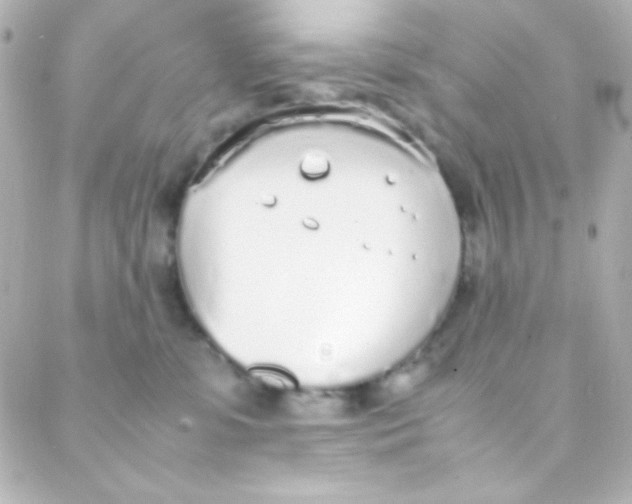 X0000088150331200705291429