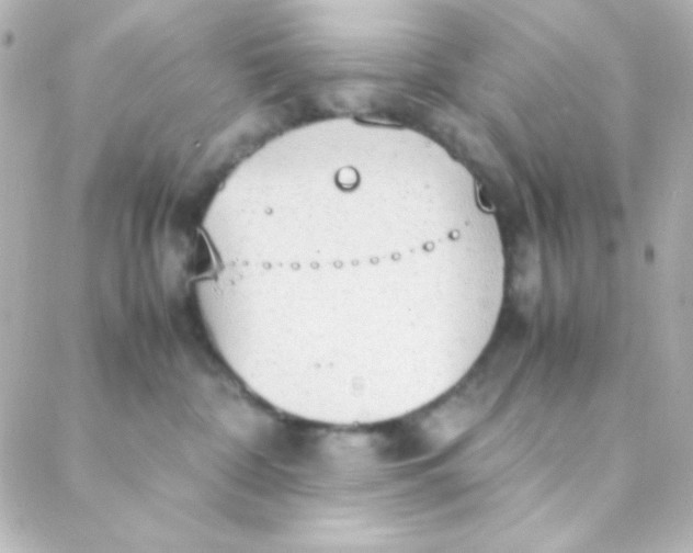 X0000088150332200705291429