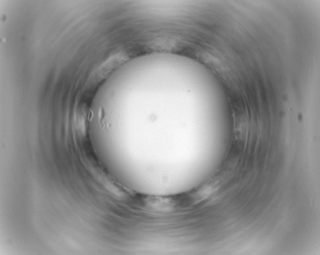 X0000088150334200705291429