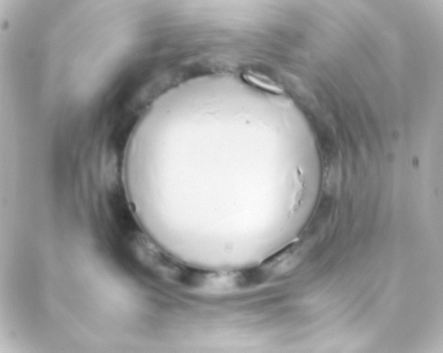 X0000088150335200705291429