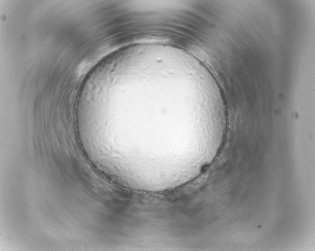 X0000088150337200705291428