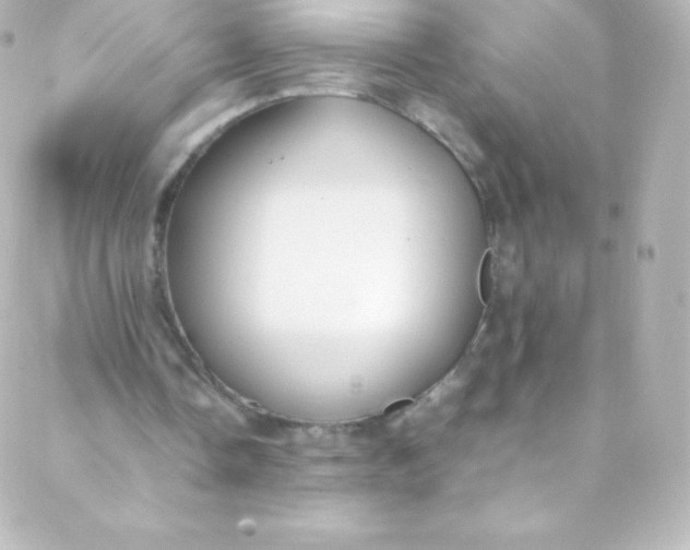 X0000088150338200705291428