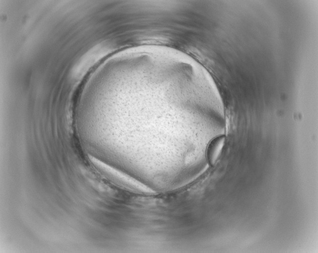 X0000088150339200705291428