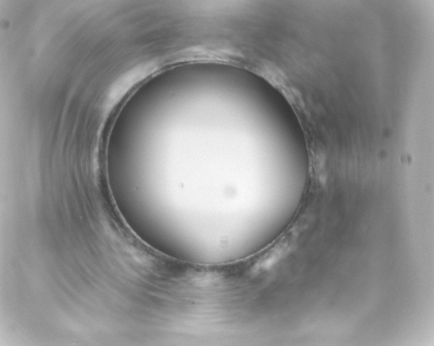 X0000088150340200705291428