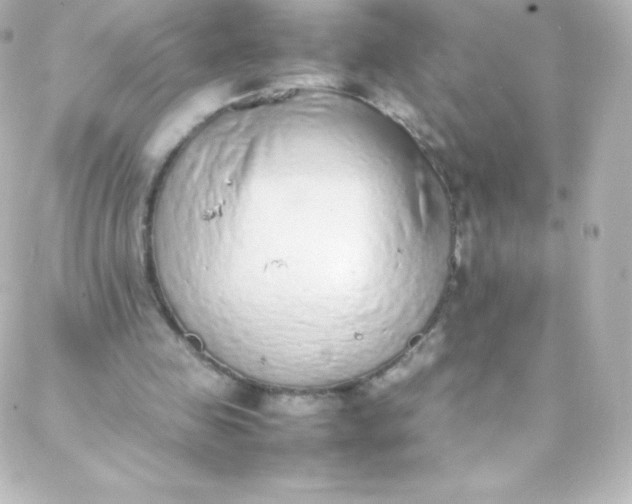 X0000088150341200705291428