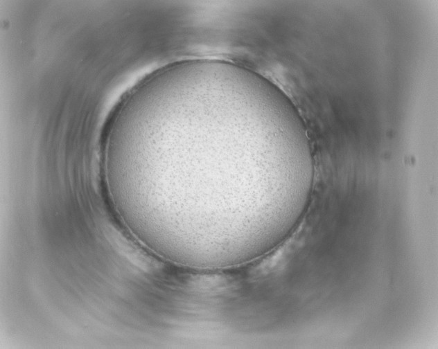 X0000088150342200705291428