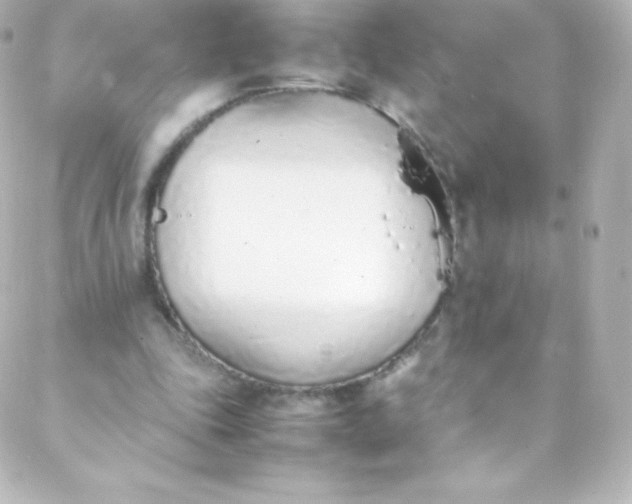 X0000088150343200705291428