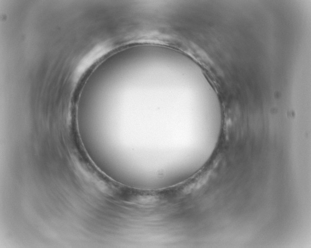 X0000088150344200705291428