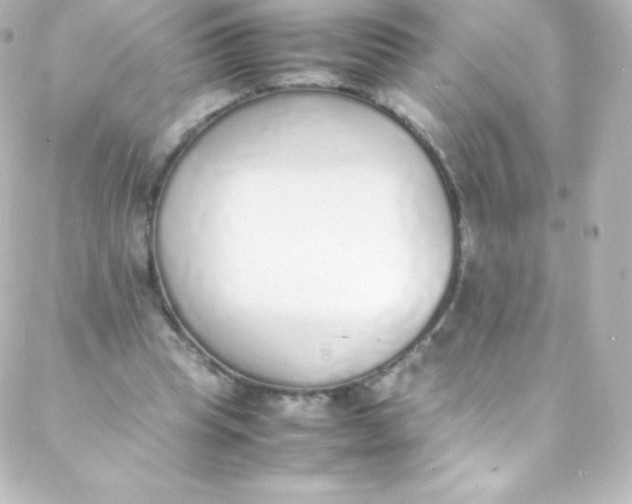 X0000088150345200705291428