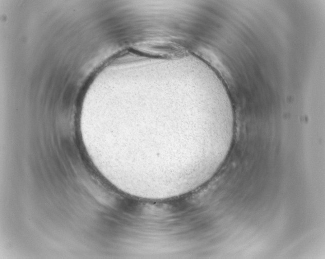 X0000088150346200705291428