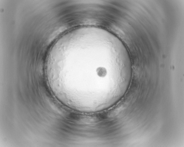 X0000088150347200705291428