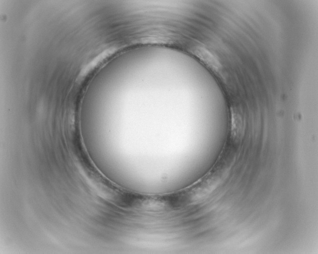 X0000088150348200705291428