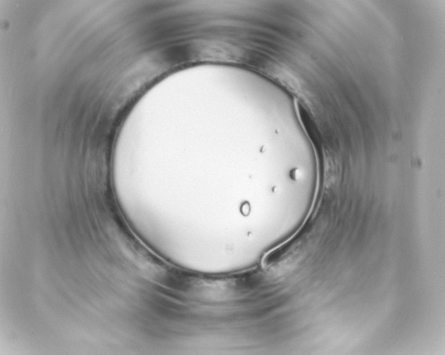 X0000088150349200705291428