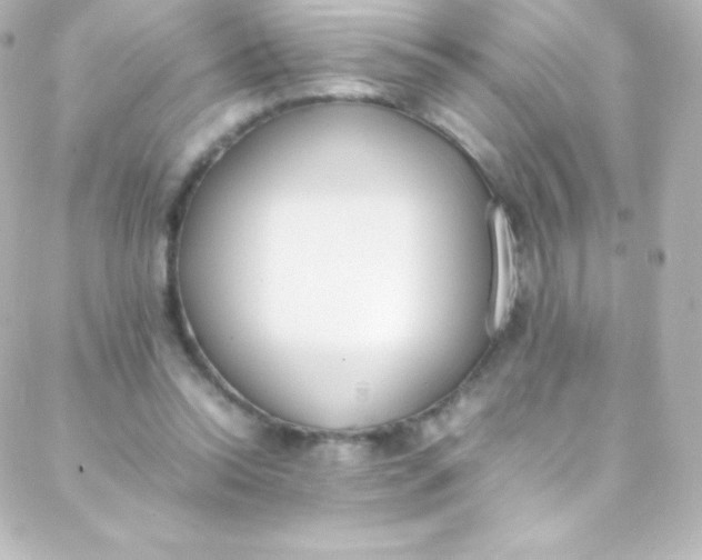 X0000088150350200705291428