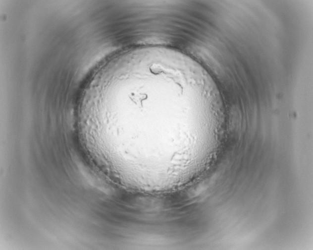 X0000088150351200705291428