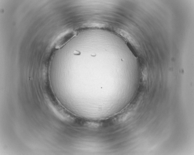 X0000088150352200705291428