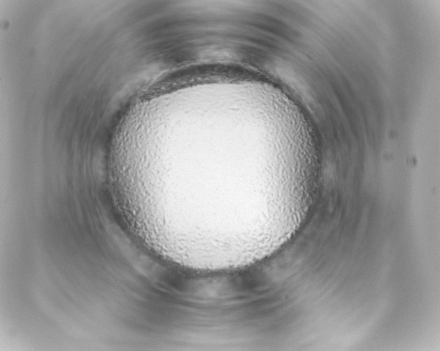 X0000088150353200705291428