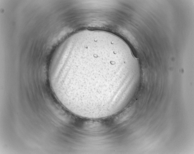 X0000088150354200705291428